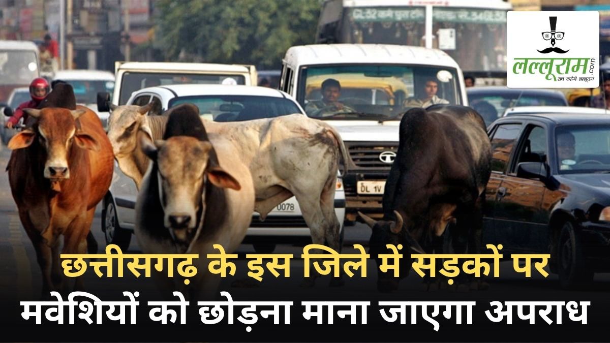 छत्तीसगढ़ के इस जिले में सड़कों पर मवेशियों को छोड़ना माना जाएगा अपराध, उल्लंघन पर होगी कड़ी कार्रवाई, आदेश जारी
