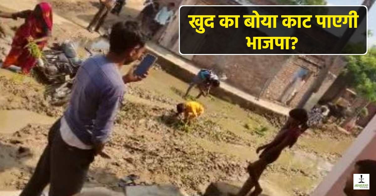 भाजपा के ‘विकास पथ’ पर बुवाई…1 साल पहले खोदी सड़क, दलदल बनी तो ग्रामीणों ने बो दी धान, जिम्मेदार बताएं फसल उगी तो कौन करेगा कटाई?
