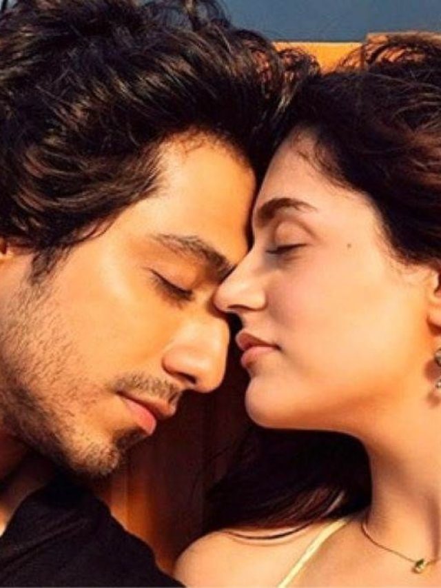 Who is Ahaan Panday: कैसे एक असिस्टेंट डायरेक्टर बना ‘सैयारा’ से ओवरनाइट सेंसेशन?
