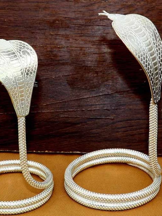 Nag Panchami 2025: शिवलिंग पर चांदी के नाग-नागिन का जोड़ा चढ़ाने से क्या होता है…