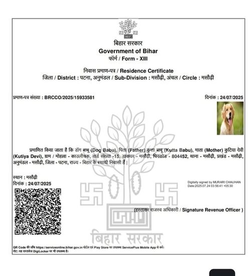 गजबे है बिहार! कुत्ते के नाम पर जारी कर दिया गया आवासीय प्रमाण पत्र