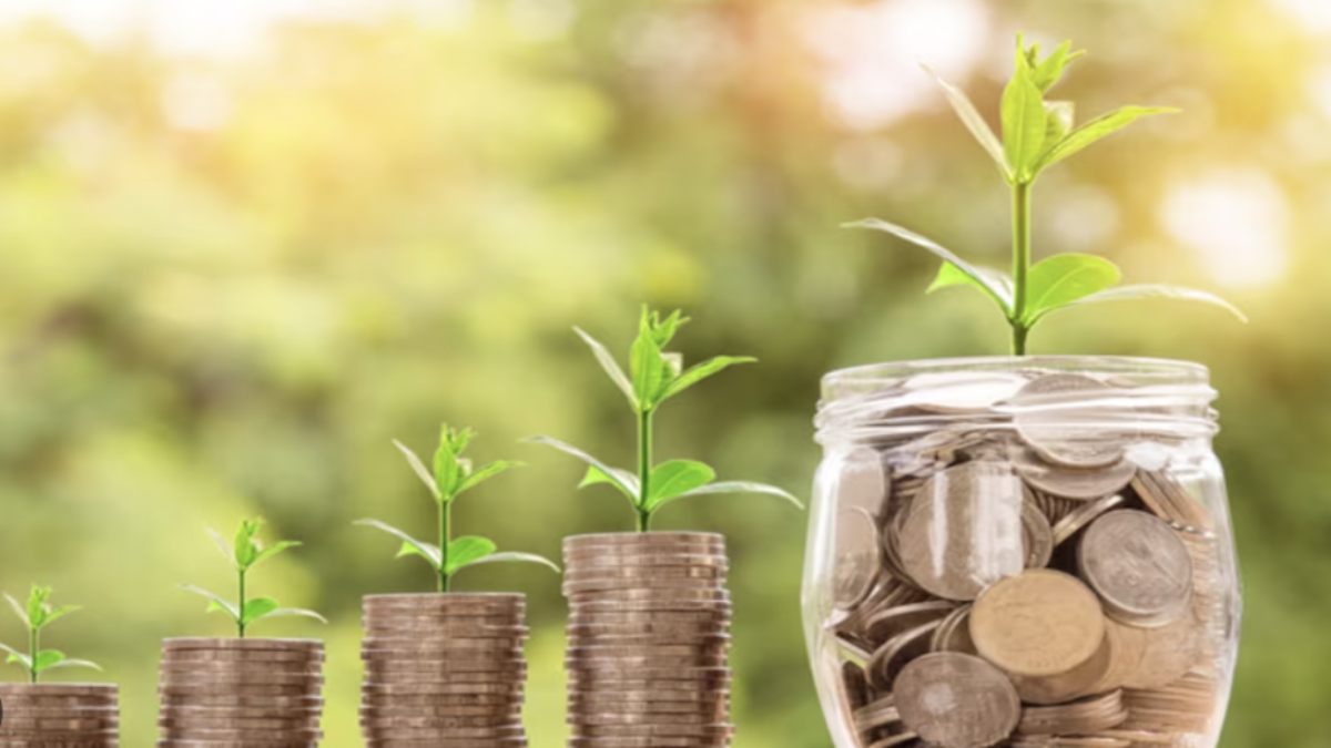 Small Savings Schemes में नहीं बढ़ा एक पैसा ब्याज! क्या PPF-NSC इनवेस्टर्स के लिए खतरे की घंटी