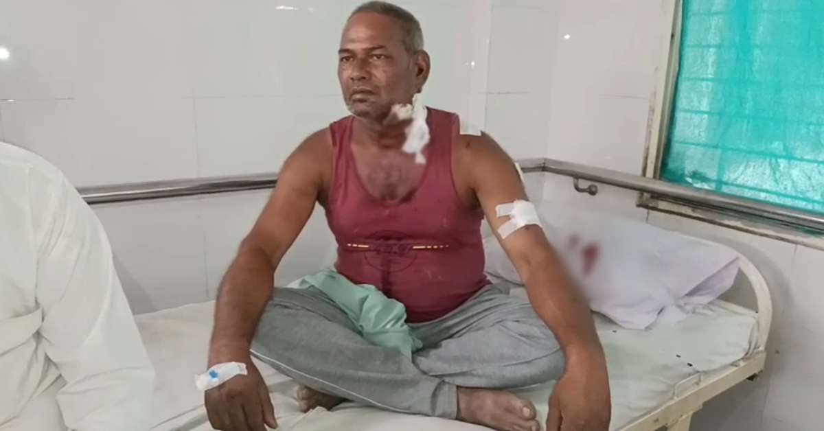 एक कहानी वफादारी की: मालिक के लिए तेंदुआ से भिड़ गया डॉग, घायल ने कहा- ‘सुल्तान’ नहीं होता तो…