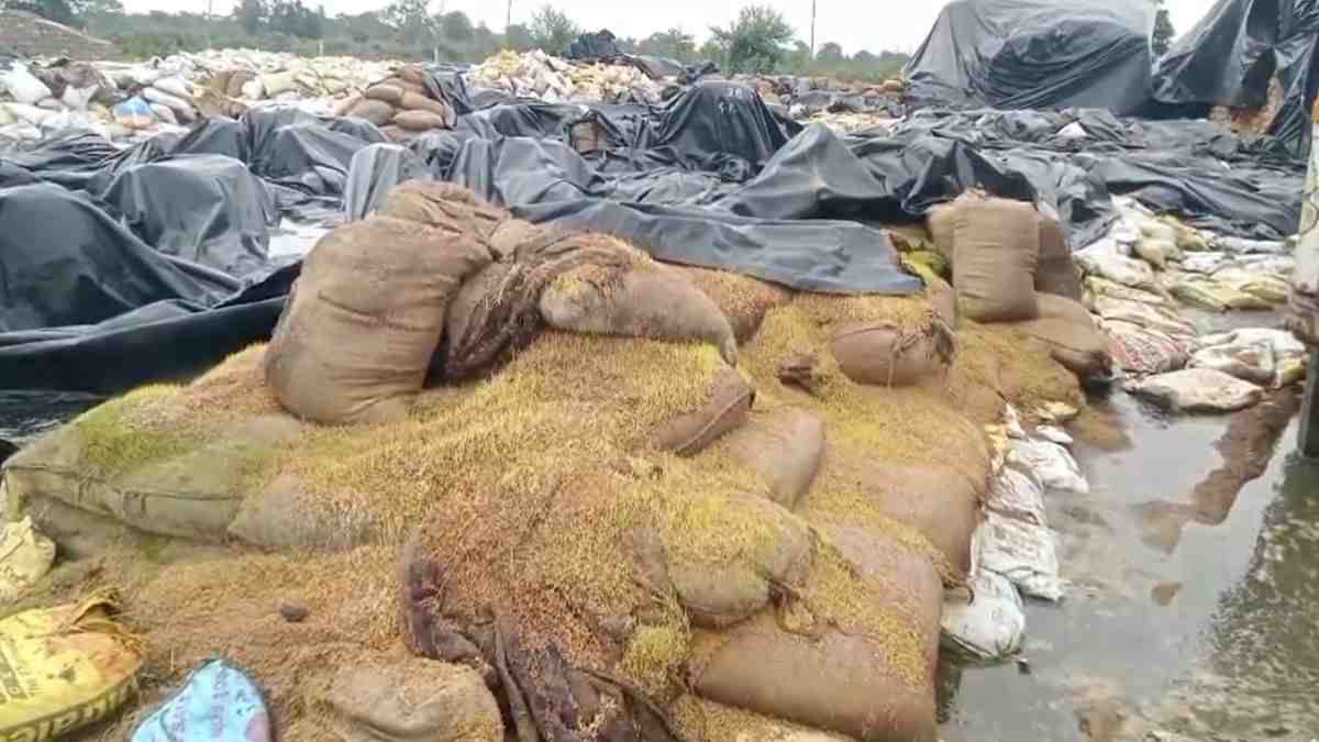 बारिश में भीगने से 4 लाख क्विंटल धान खराब : करोड़ों खर्च के बाद भी धान को सुरक्षित नहीं रख पाया विपणन विभाग, विधायक कश्यप ने कहा – जिम्मेदार अधिकारी, कर्मचारियों पर हो कार्रवाई
