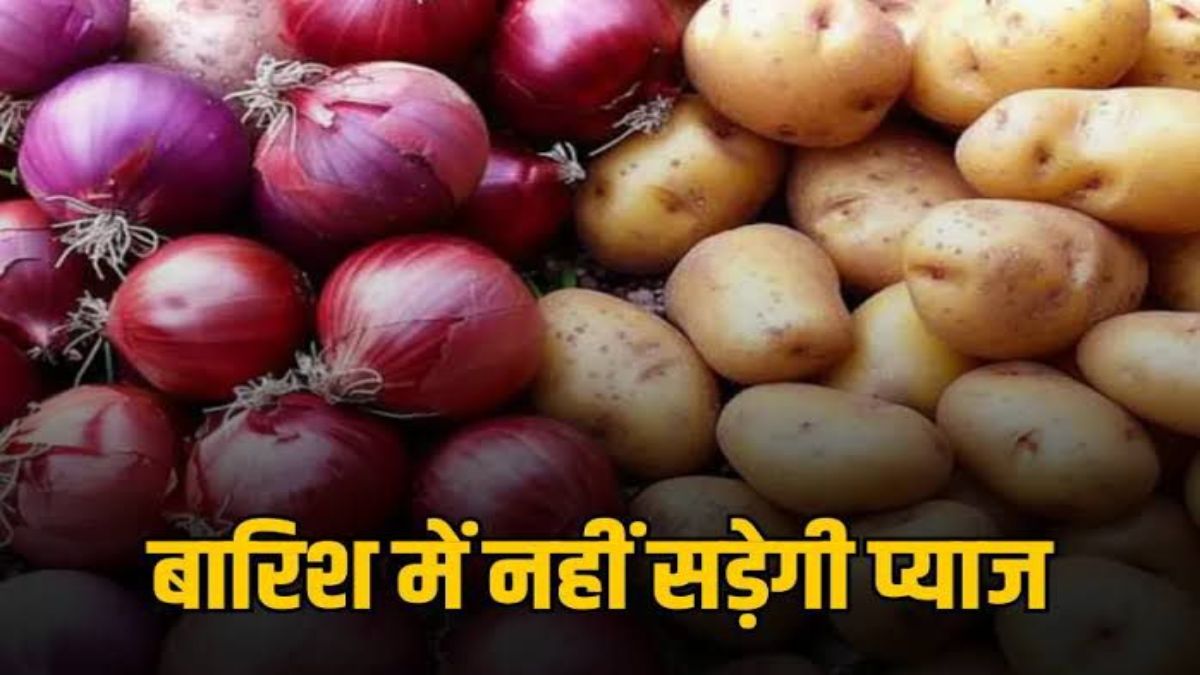 Kitchen Tips : मानसून में खराब होकर गलने लगते हैं आलू-प्याज, तो उन्हें इस तरह से रखें सुरक्षित …