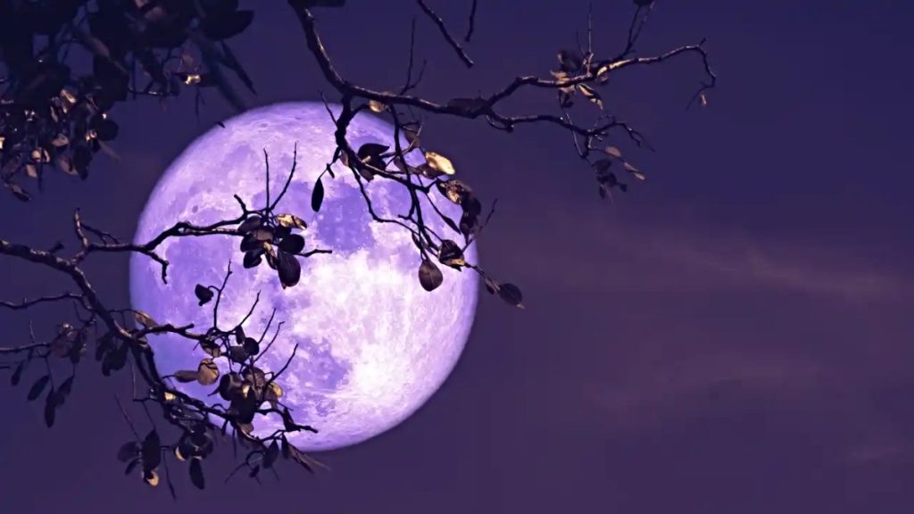 Buck Moon 2025