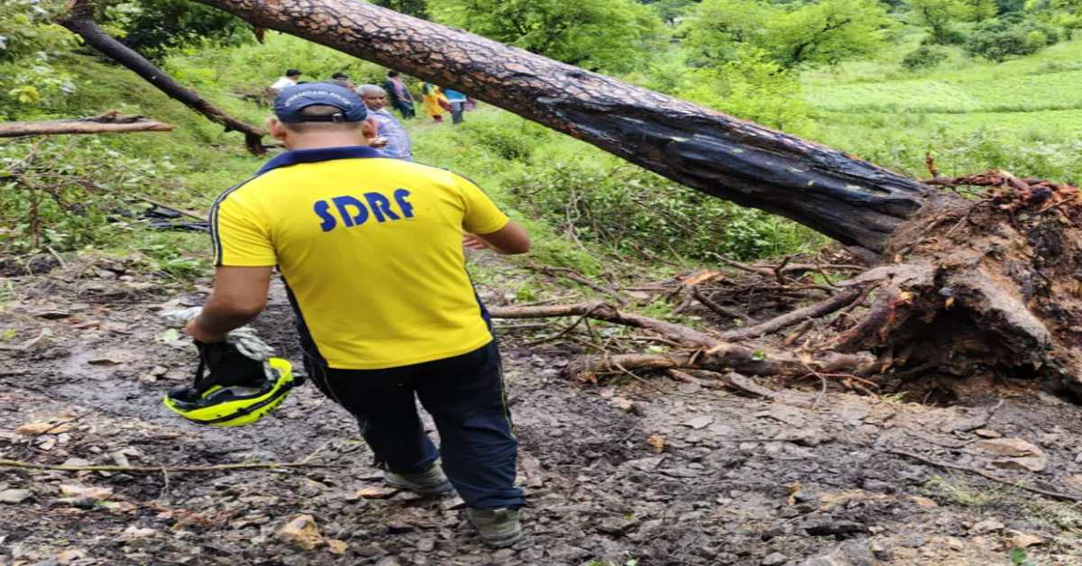 स्कूल से लौटते वक्त मौत से मुलाकातः 2 बच्चों के ऊपर गिरा पेड़, दोनों की उखड़ी सांसें, जानिए कैसे घटी घटना…
