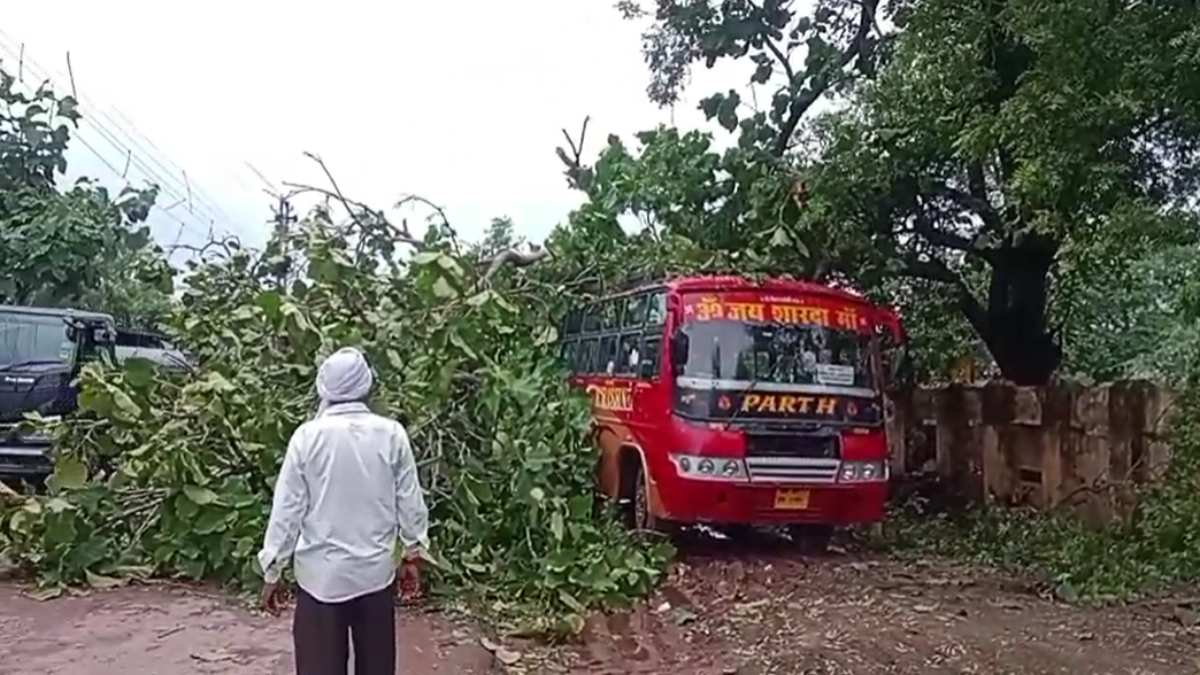 बड़ा हादसा टलाः खड़ी बस के ऊपर गिरा पेड़, मचा हड़कंप, कोई जनहानि नहीं