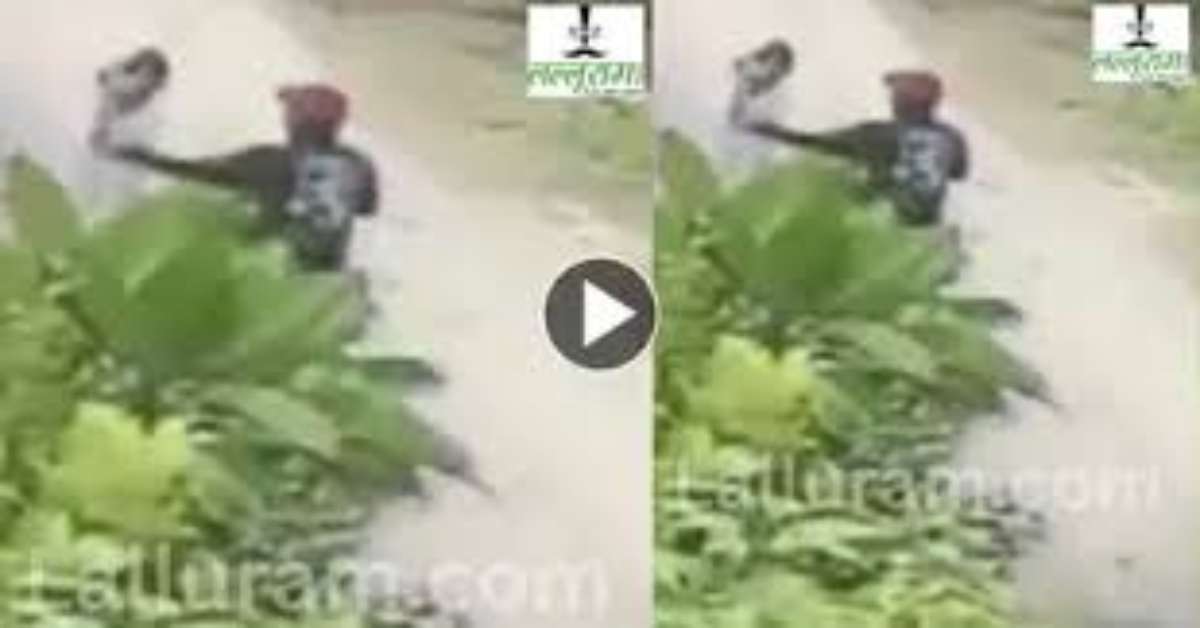 छेड़खानी करोगे तो यही हश्र होगा… टांग में गोली मारकर मनचले को पुलिस ने दबोचा, छात्रा के प्राइवेट पार्ट को छूकर हुआ था फरार