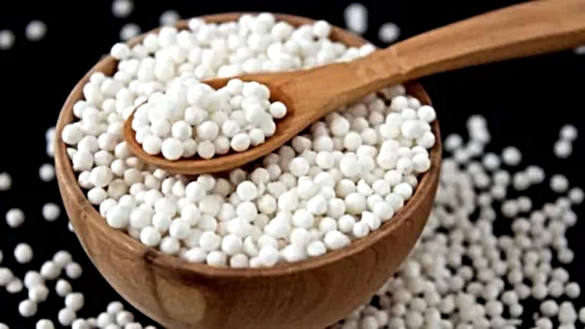 सावन व्रत में क्यों फायदेमंद है साबूदाना? जानें इसके फायदे और टेस्टी रेसिपीज