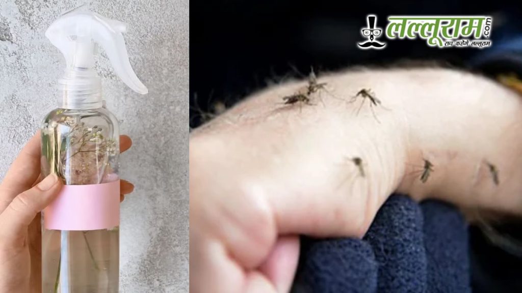 Natural Mosquito Repellent For Monsoon