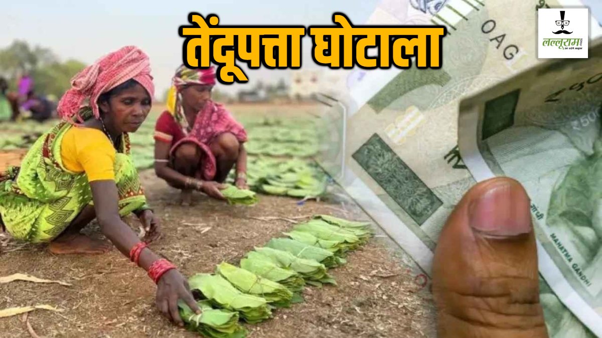 छत्तीसगढ़ में एक और तेंदूपत्ता घोटाला: शासन को 5.13 करोड़ रुपये का पहुंचाया नुकसान, ठेकेदार और वन अधिकारियों पर गंभीर आरोप