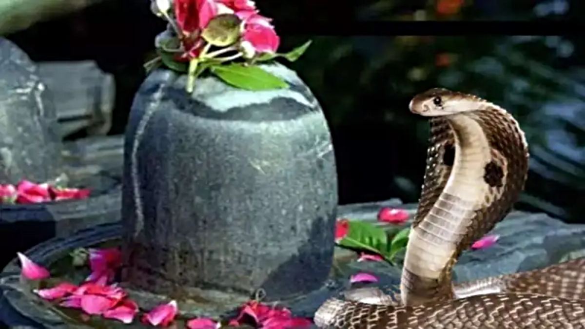 Nag Panchami 2025: कब है नाग पंचमी, कालसर्प और पितृ दोष से मुक्ति पाने के लिए करें ये आसान उपाय