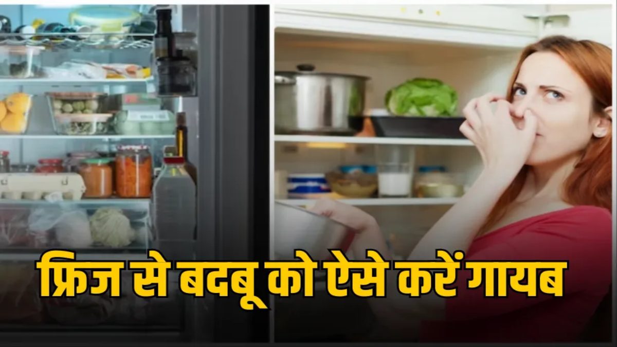 बारिश के मौसम में फ्रिज से आती है नमी और बदबू? अपनाएं येन 5 आसान घरेलू उपाय