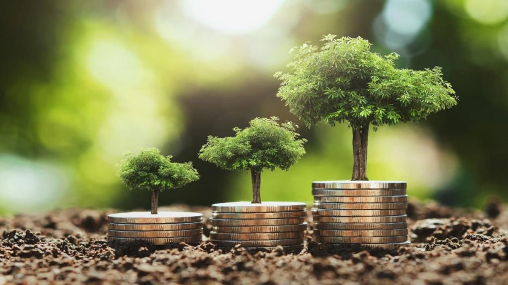 SIP Investment Tips