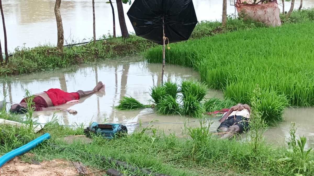 CG BREAKING: हाई वोल्टेज करंट की चपेट में आए किसान दंपती, दोनों की मौके पर हुई मौत