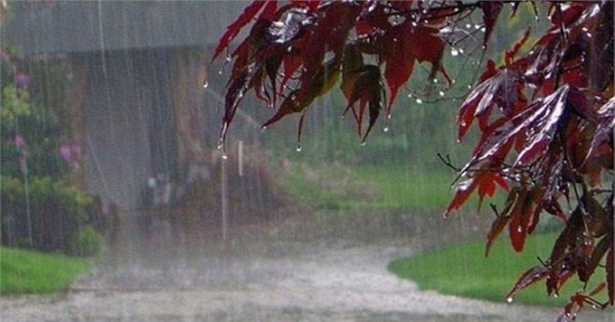 12 जुलाई तक प्रदेश पर मेहरबान रहेगा मानसून, दोनों हिस्सों में बरसेंगे बादल, गरज चमक का भी अलर्ट जारी