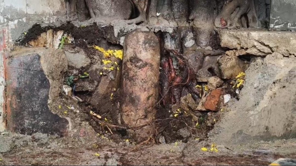 CG NEWS: बाजार के चबूतरे में प्रकट हुए प्राचीन शिवलिंग, श्रद्धालु कर रहे भव्य मंदिर बनाने की मांग…