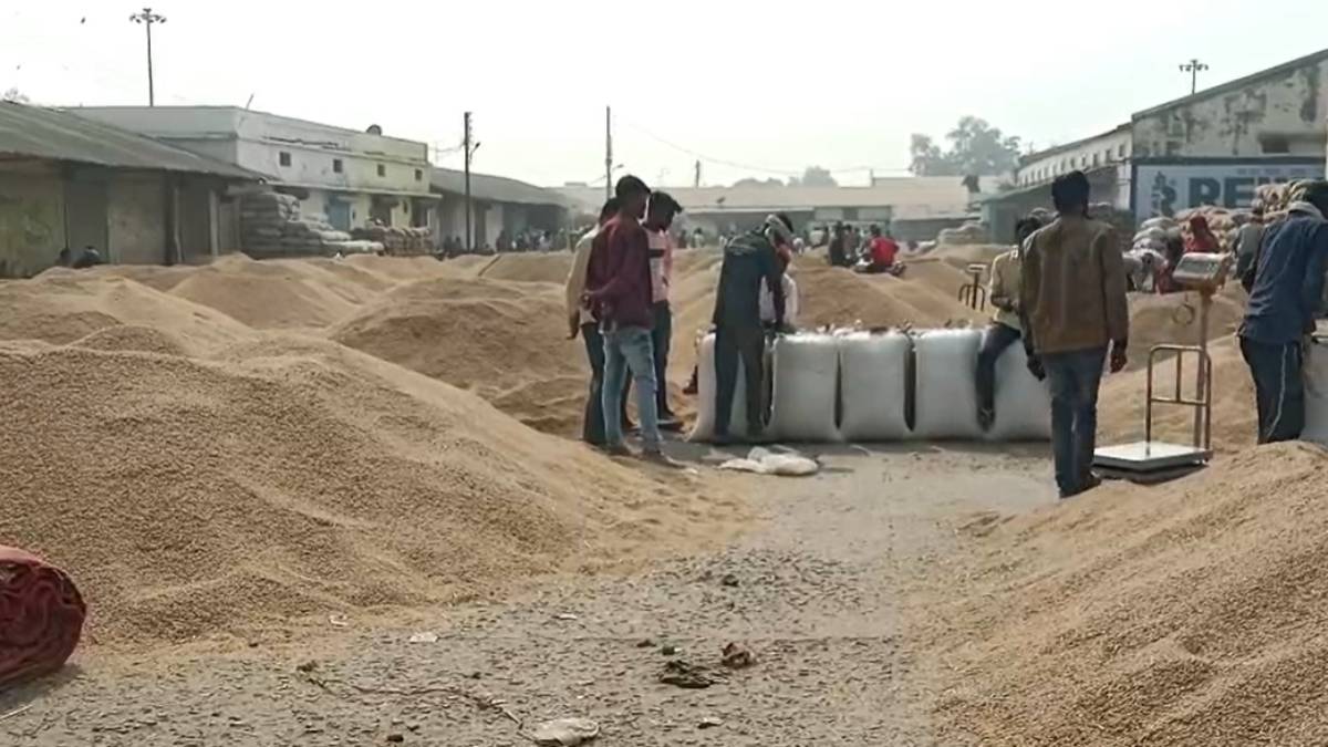 करोड़ों के धान खरीदी और परिवहन घोटाला मामला: नागरिक आपूर्ति निगम का तत्कालीन प्रभारी जिला प्रबंधक गिरफ्तार, अब तक 21 आरोपी हो चुके गिरफ्तार