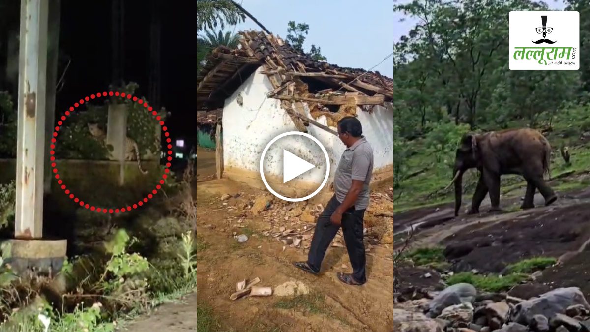 छत्तीसगढ़ के इस जिले में नहीं थम रहा वन्यजीवों का आतंक: हाउसिंग बोर्ड कॉलोनी में घुसा तेंदुआ, गांव में हाथी ने मचाया उत्पात, दहशत में लोग, देखें VIDEO