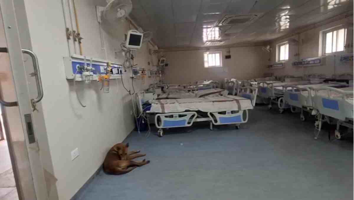 एक डॉक्टर के भरोसे 1 लाख की आबादी, ICU में आवारा कुत्ते कर रहे आराम, अस्पताल की दुर्दशा हुई उजागर   