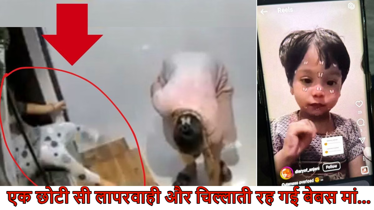 ऊंची बिल्डिंग वाले सावधान! 4 साल की बच्ची को मां ने शू रैक पर बैठाया और ढूंढने लगी चप्पल, 12वीं मंजिल से गिरकर बेटी की दर्दनाक मौत, VIDEO