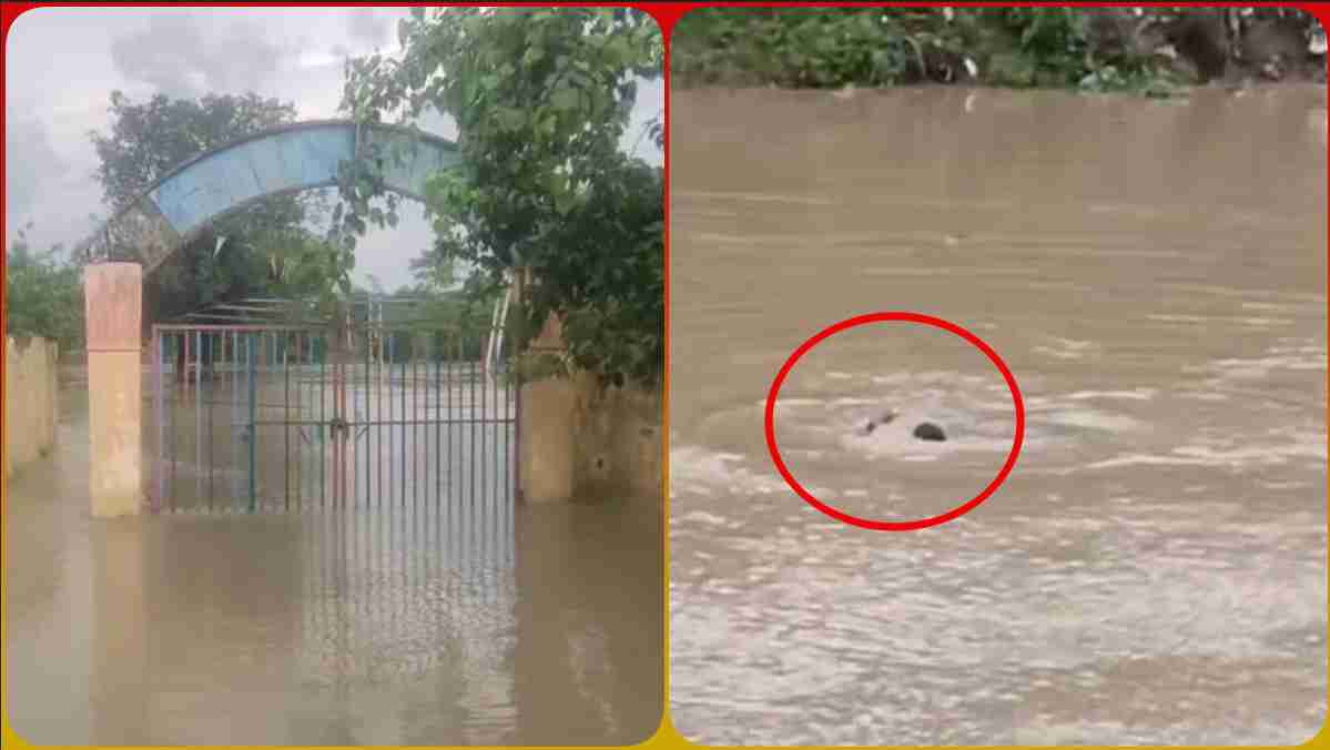 MP में बारिश का कहर: सागर में स्कूल में फंसे छात्र और शिक्षक, SDERF ने किया रेस्क्यू, नरसिंहपुर में युवक का बहते हुए LIVE Video