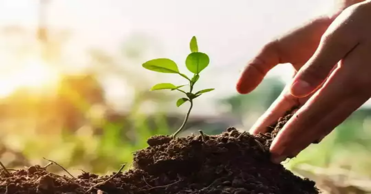 ‘एक पेड़ माँ के नाम’ वृक्षारोपण अभियान में  लापरवाही, बलांगीर के 11 बीईओ का रोका गया वेतन