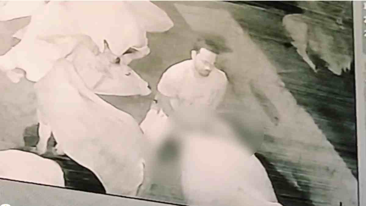 हैवानियत की हदें पार: कन्या शाला के शिक्षक ने गोवंश के साथ किया घिनौना काम, पुलिस ने गिरफ्तार कर निकाला जुलूस