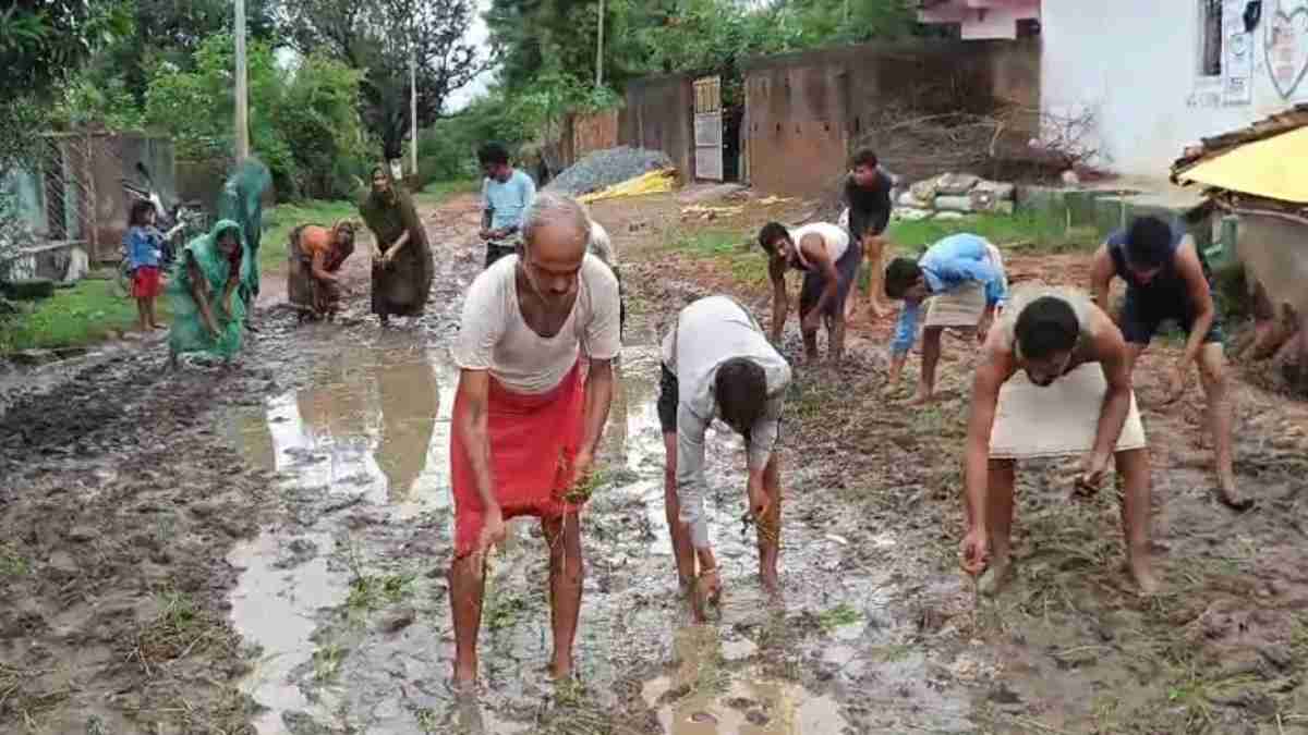 जब सड़क बन गई खेत: वादे के बाद भी नहीं बनाई रोड तो ग्रामीणों ने किया अनोखा प्रदर्शन, गड्ढे भरे कीचड़ में बो दिया धान