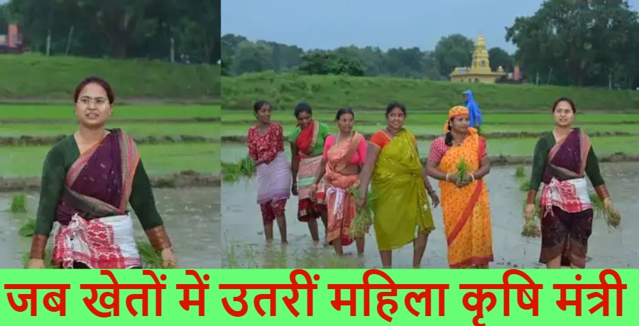 जब खेतों में उतरीं इस राज्य की कृषि मंत्री.. झमाझम बारिश के बीच महिलाओं के साथ की धान रोपाई ; चर्चा का विषय बना मंत्री जी का अंदाज