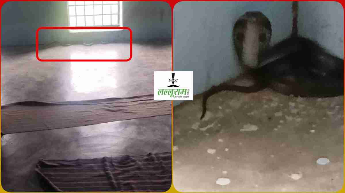 हाई स्कूल में इंतजार कर रहे थे नागराज: दरवाजा खुलते ही चौंक उठे बच्चे, शख्स ने सांप से कहा- जाओ तुम्हें कोई नहीं मारेगा