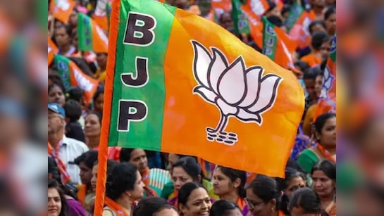 भुवनेश्वर : भाजपा प्रदेश संगठन को मिलेगा नया अध्यक्ष !