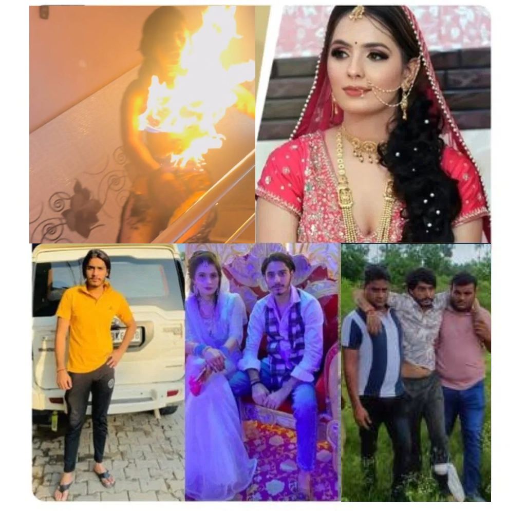 निक्की मर्डर केस में मिस्ट्री गर्ल की एंट्री; हर दिन रात भर विपिन रहता था घर के बाहर, दिन में घर लौटने पर करता था बवाल, आखिर क्या है दोनों का कनेक्शन?