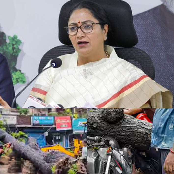 दिल्ली में बारिश के दौरान पेड़ गिरने से हुई शख्स की मौत, अब CM रेखा गुप्ता ने लिया बड़ा एक्शन