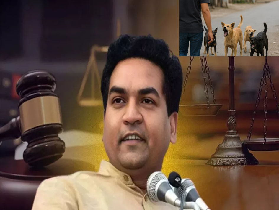 सुप्रीम कोर्ट के फैसले पर रेखा गुप्ता सरकार की प्रतिक्रिया, कहा- करुणा व मानवता पर आधारित नीतियों से होगा समाधान