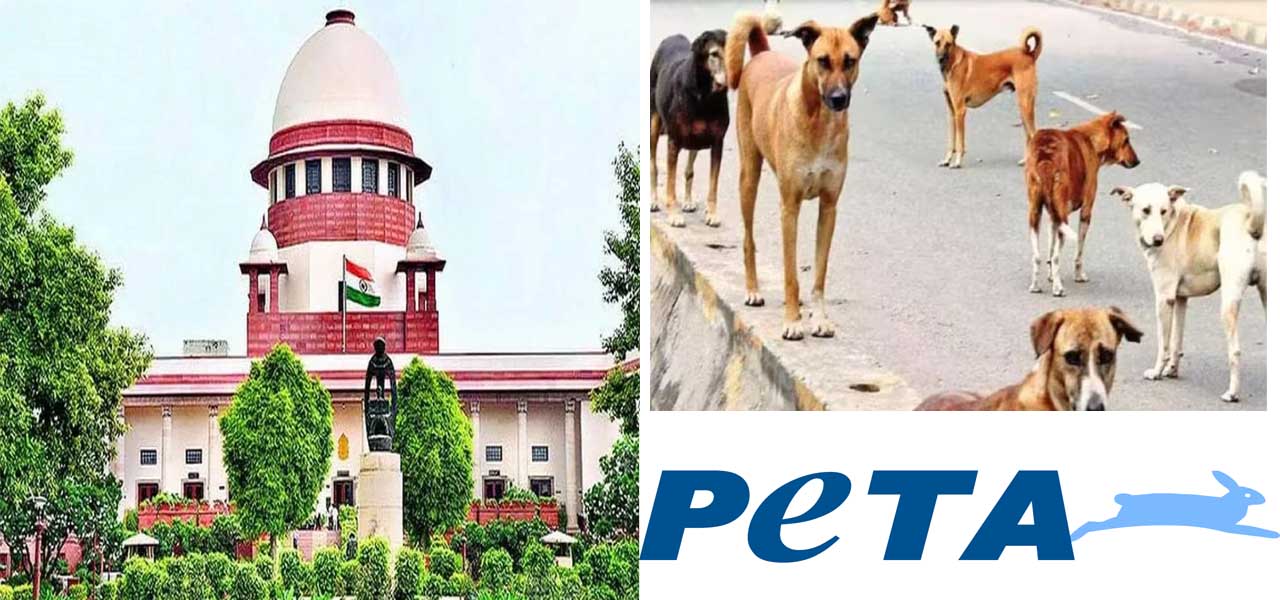 Delhi-NCR Stray Dogs Case: आवारा कुत्तों पर सुप्रीम कोर्ट के फैसले के खिलाफ आवाज उठाने लगे लोग, सांसद ने CJI को लिखा लेटर, PETA भी विरोध में उतरा