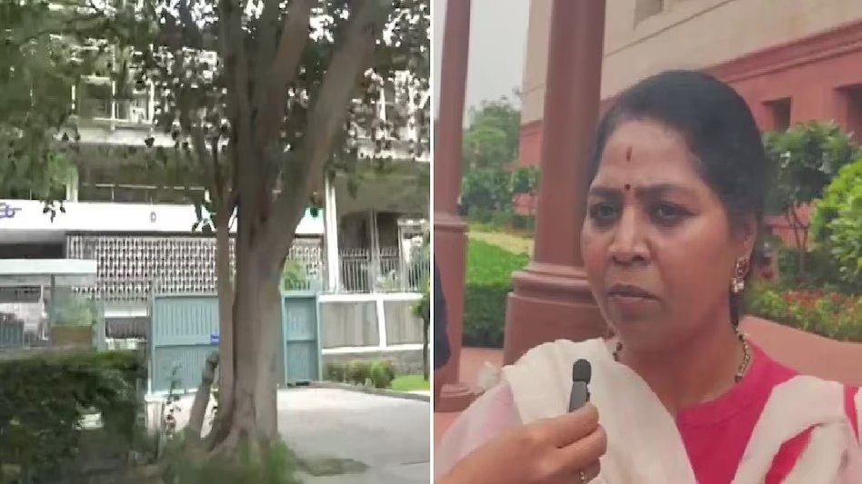 ‘कपड़े फाड़े, चेन झपटी… किसी ने मदद नहीं की..’, दिल्ली में चेन स्नैचिंग की शिकार हुई महिला सांसद ने लोकसभा में सुनाई आपबीती