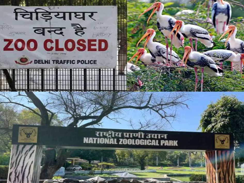 दिल्ली चिड़ियाघर में बर्ड फ्लू की पुष्टि, अनिश्चितकाल के लिए बंद, रोकथाम के उपाय शुरू