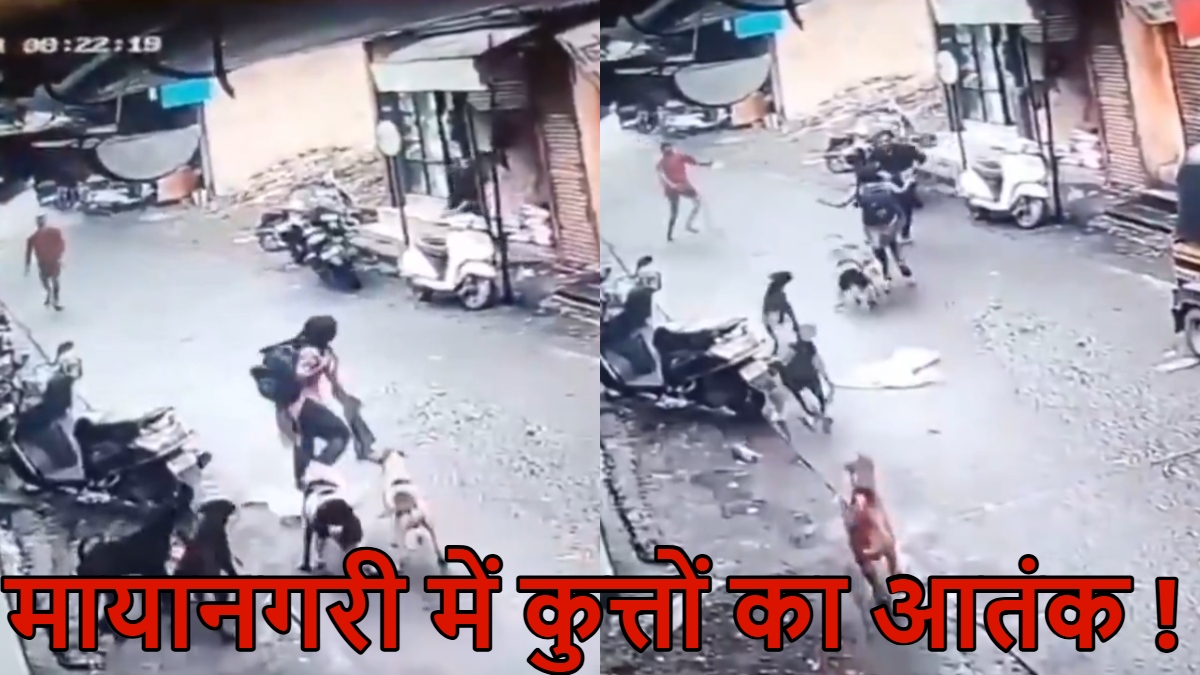 स्कूल से लौट रही बच्ची पर टूट पड़े एक साथ 5 कुत्ते, पास मौजूद लोगों ने बचाई जान ; CCTV में कैद हुई खौफनाक घटना