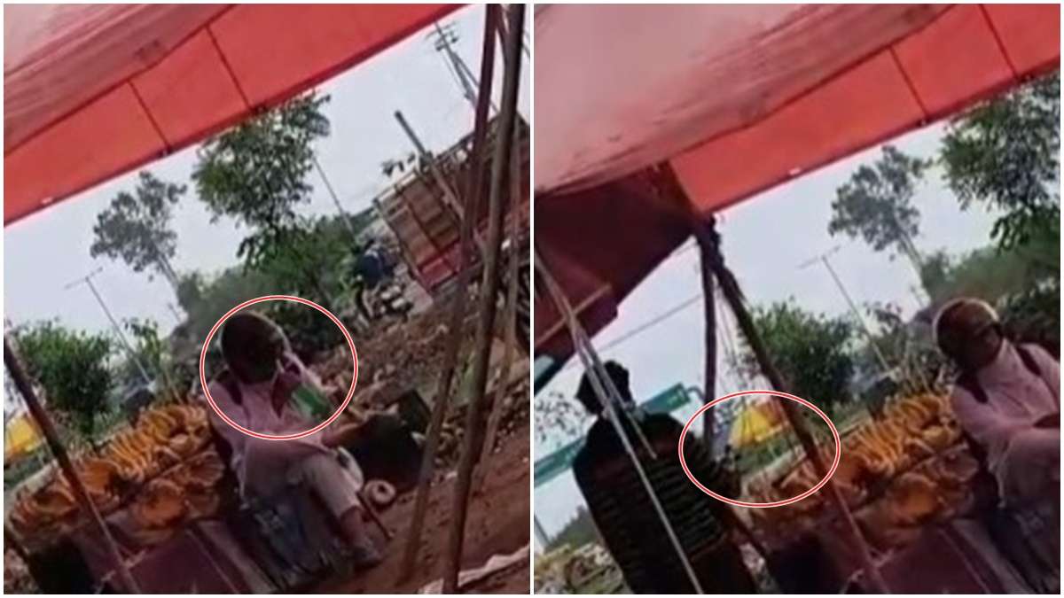 भोपाल में लव, लैंड, ड्रग्स के बाद अब थूक जिहाद! सामने आया फलों पर थूकने वाला वीडियो, हिंदू संगठनों में आक्रोश 