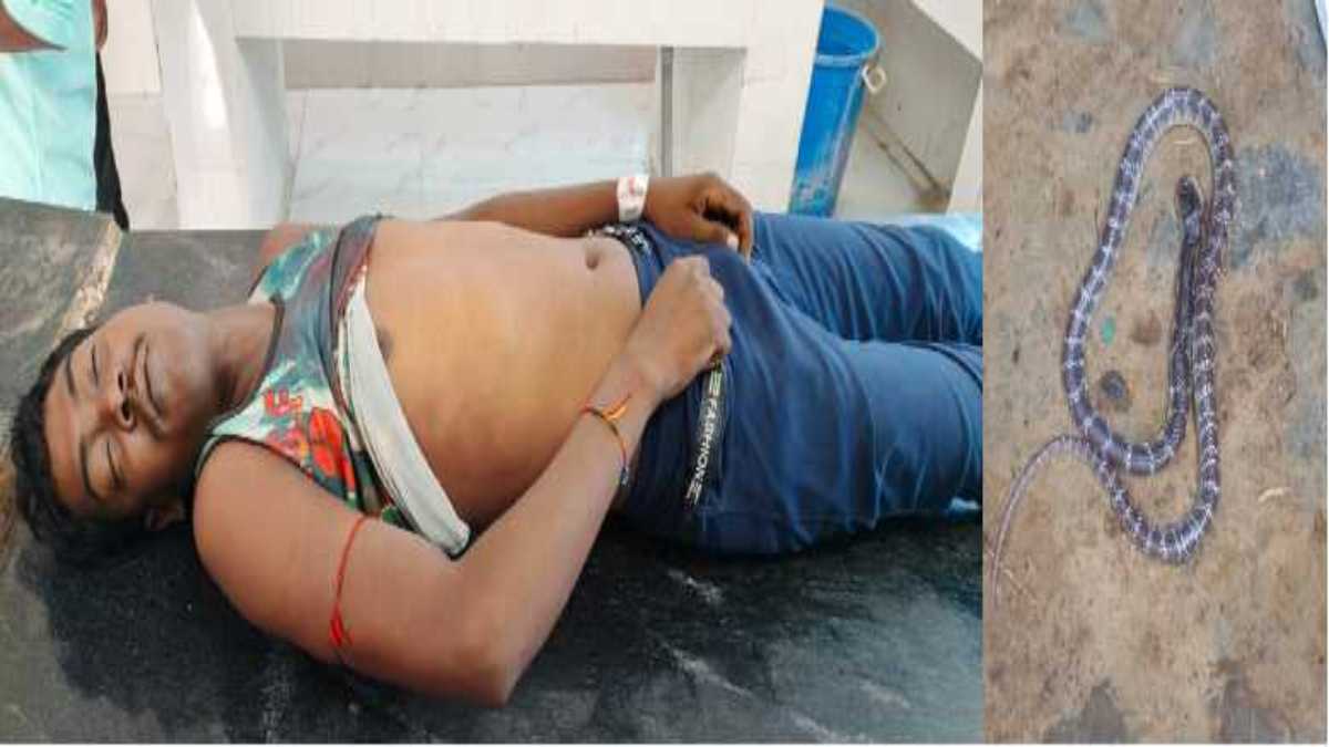 सांप के डसने से बैगा युवक की मौतः समय पर इलाज और एम्बुलेंस नहीं मिलने से बुझा गरीब परिवार का चिराग