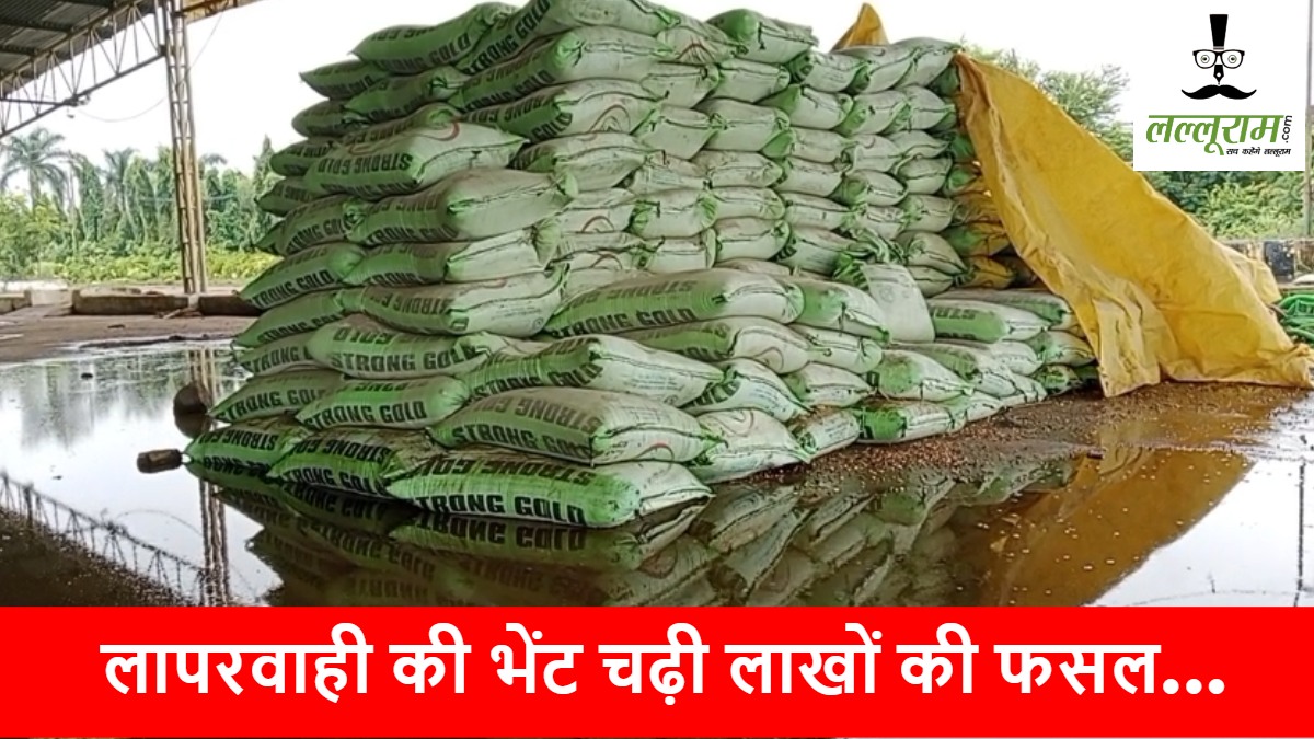 CG NEWS: लापरवाही की भेंट चढ़ी मंडी में रखी दलहन-तिलहन की फसलें, बारिश से हुई बर्बाद, लाखों का नुकसान…