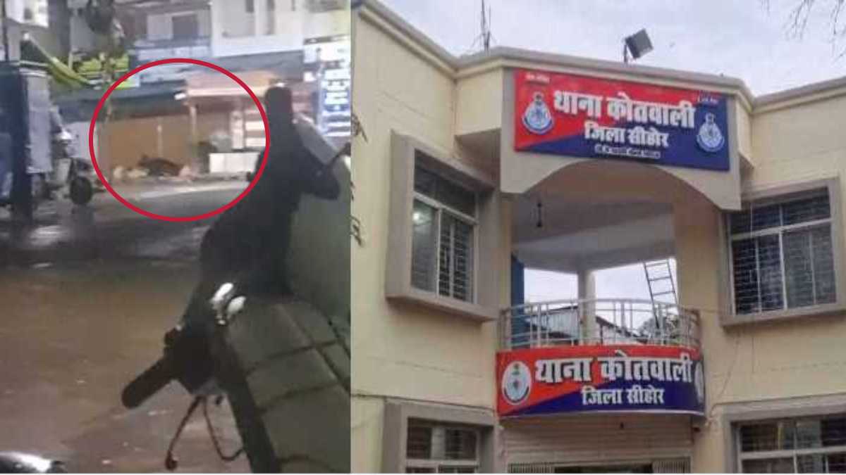 हवस में अंधे प्यारे मियां ने गाय को भी नहीं छोड़ाः गंदी हरकत CCTV में कैद, अप्राकृतिक कृत्य के आरोप में पुलिस ने दबोचा