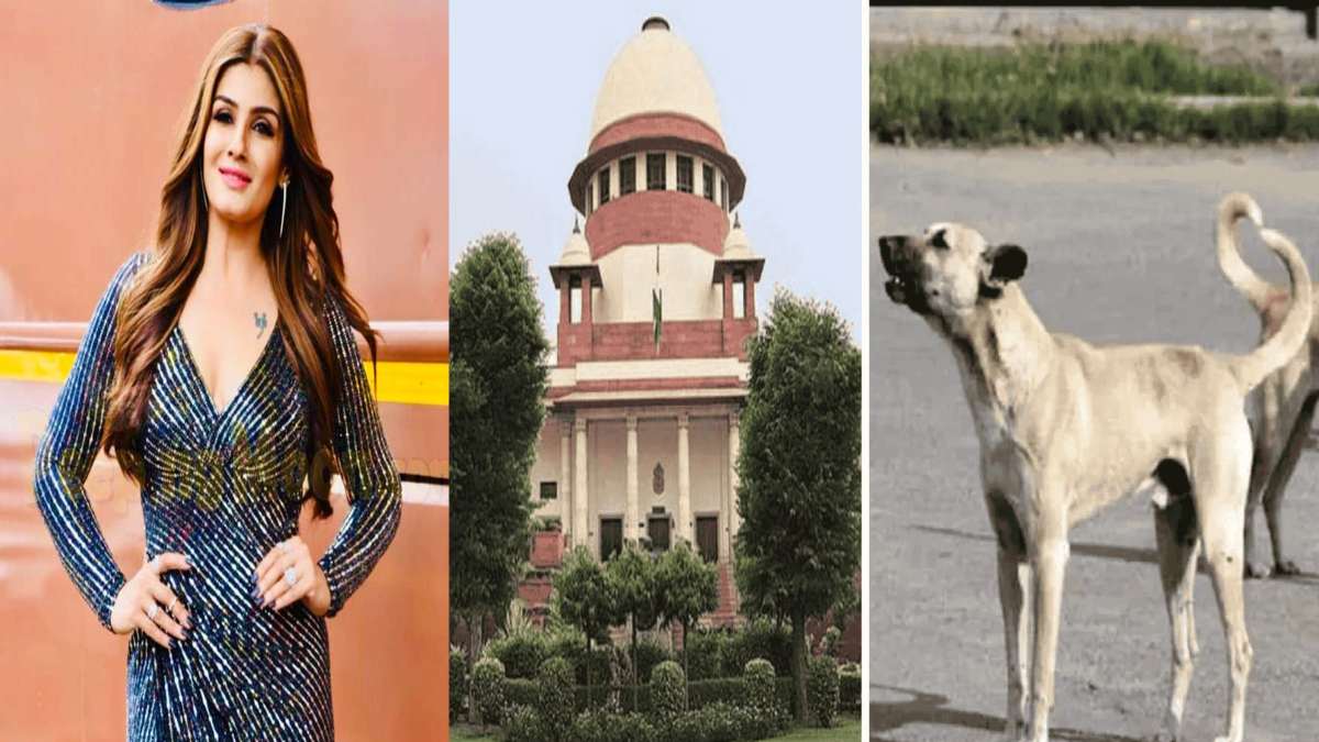 आवारा कुत्तों को लेकर सुप्रीम कोर्ट का बड़ा आदेश, Raveena Tandon हुईं नाराज …