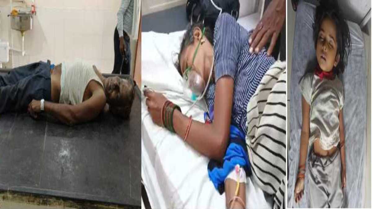 MP में सर्पदंश से 2 मौतः पन्ना में पति पत्नी को डसा, पति की मौत, सीहोर में 6 साल के मासूम को काटा, तोड़ा दम
