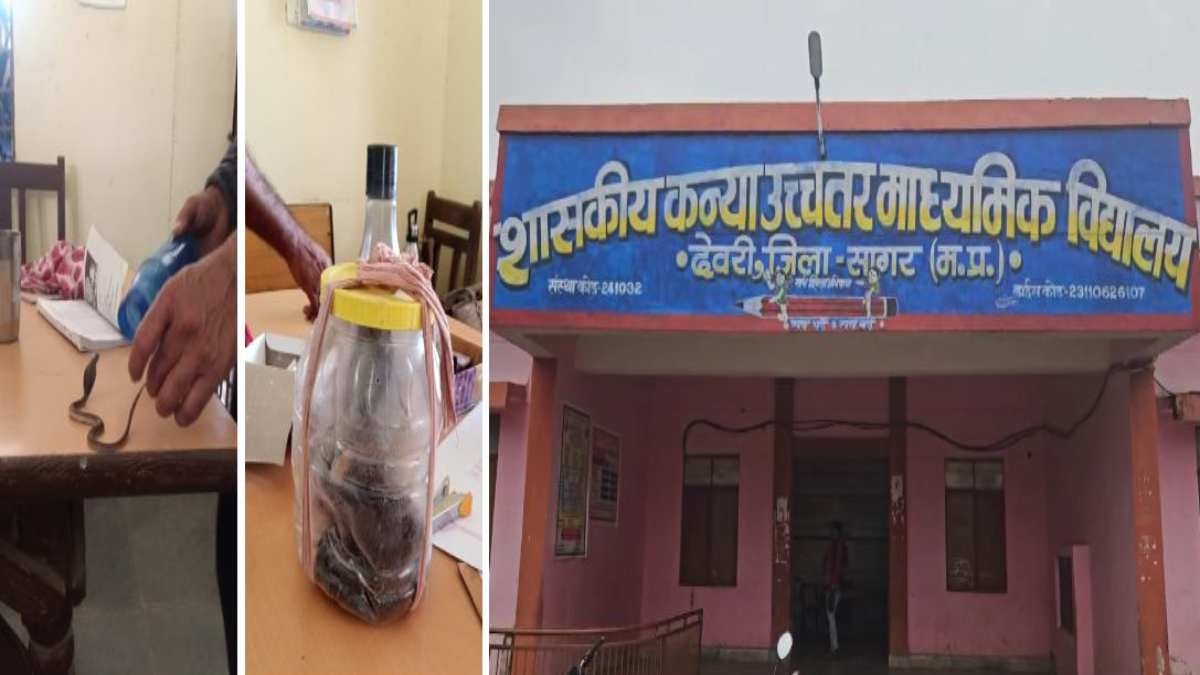 स्कूल बना सांप स्पॉटः रोज निकल रहे सांप, छात्र और शिक्षक दहशत में, 15 दिनों में निकल चुके 26 सांप, फर्श की खुदाई के बाद कीटनाशक का किया छिड़काव