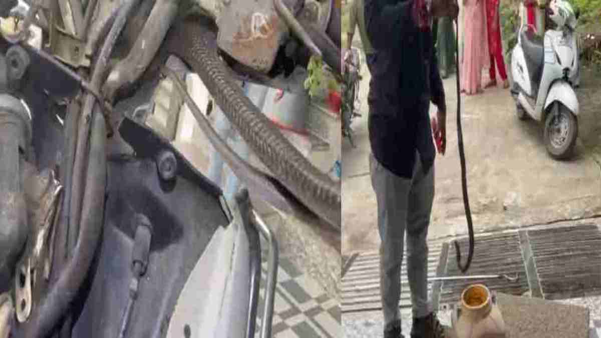 मोपेड के अंदर छिपा था स्पेक्टिकल कोबराः गाड़ी मालिक ने सांप को अंदर घुसते देखा, सर्पमित्र ने रेस्क्यू कर जंगल में छोड़ा