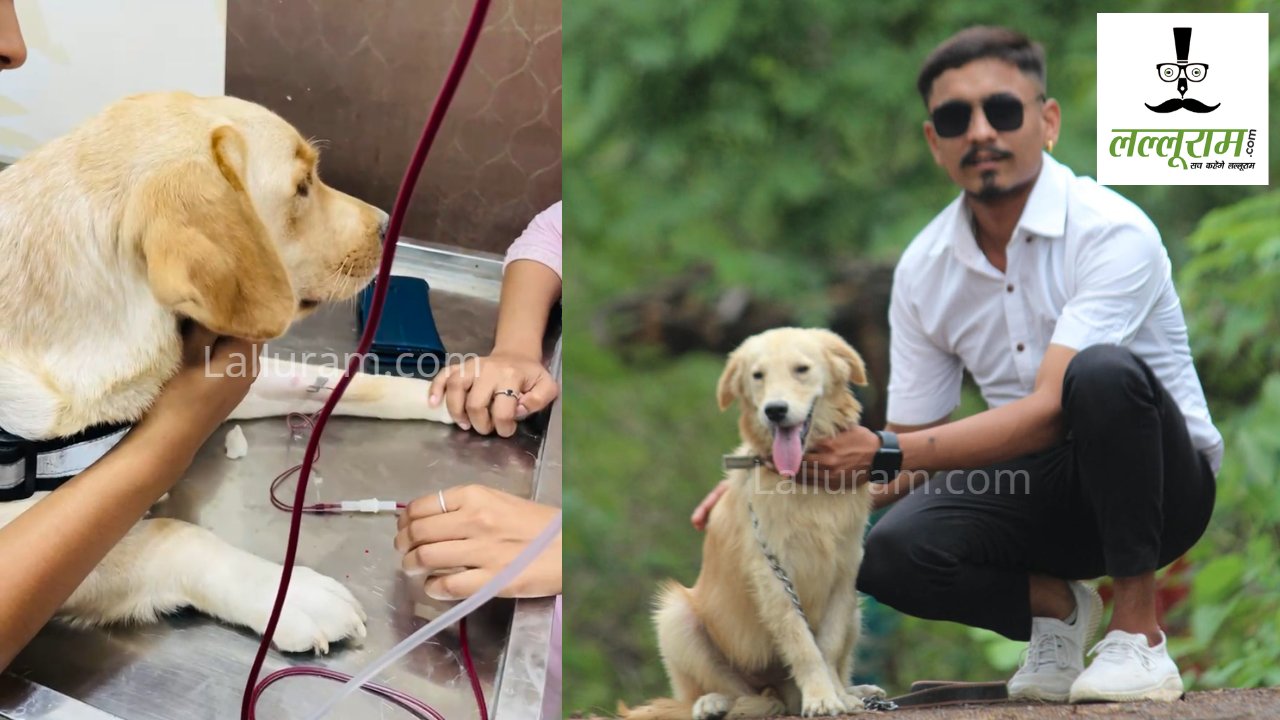 अनोखी मिसाल : श्वान ने श्वान को डोनेट किया Blood, समाजसेवी ने लोगों से की ये अपील
