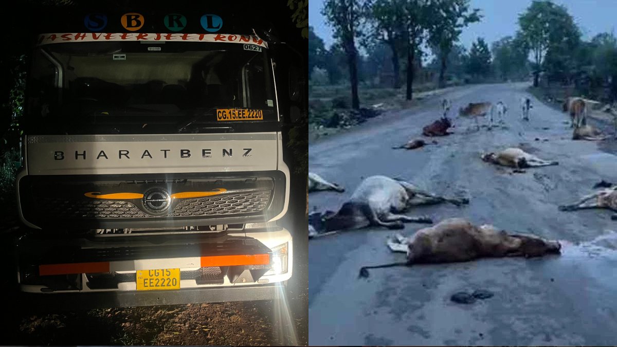 CG News : तेज रफ्तार ट्रेलर ने 17 मवेशियों को रौंदा, आरोपी ड्राइवर चढ़ा पुलिस के हत्थे 